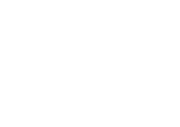 logo_header